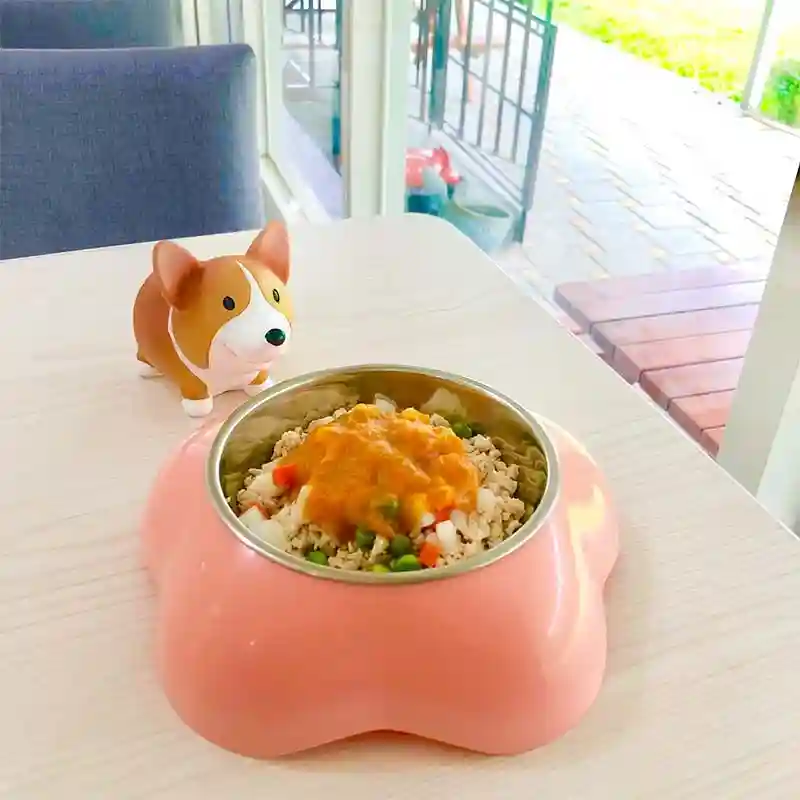 寵物早餐